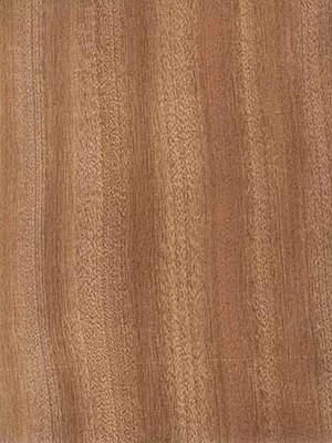 Listwa przypodłogowa fornirowana lakierowana CP58 Sapella (240 cm x 5,8 cm x 1,6 cm)