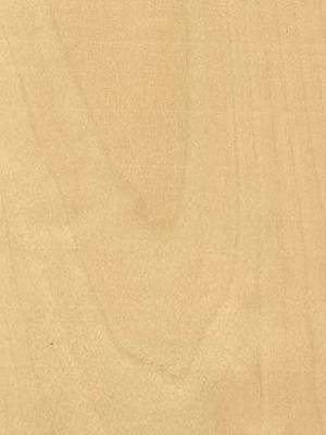 Listwa przypodłogowa fornirowana lakierowana CP80 R3 (240 cm x 8 cm x 1,8 cm) brzoza